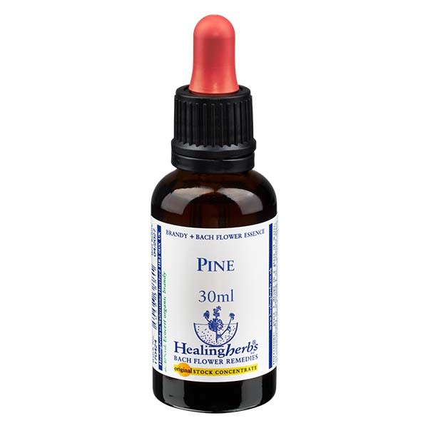 24 Pine, 30ml Essenz, Healing Herbs