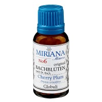 Vista previa: 6 Cherry Plum, 20g "Kügelchen", MirianaFlowers Vista previa: 6 Cherry Plum, 20g "Kügelchen", MirianaFlowers