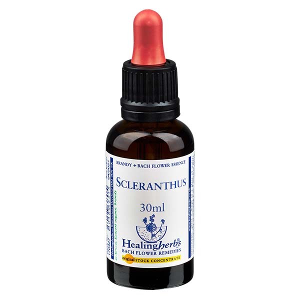 28 Scleranthus, 30ml Essenz, Healing Herbs