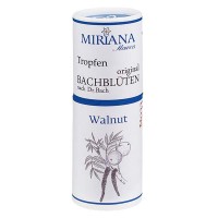 Vista previa: 33 Walnut, 10ml Essenz, MirianaFlowers Vista previa: 33 Walnut, 10ml Essenz, MirianaFlowers