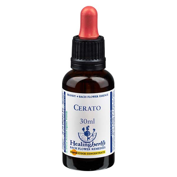 5 Cerato, 30ml Essenz, Healing Herbs