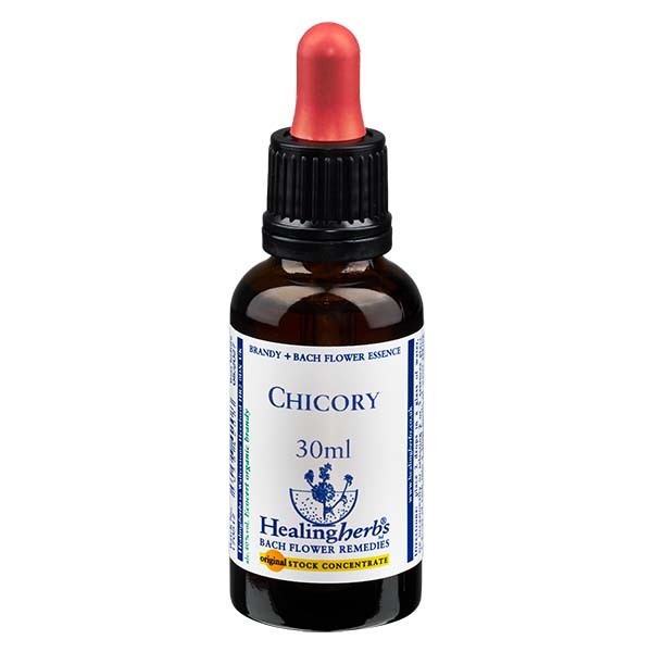 8 Chicory, 30ml Essenz, Healing Herbs