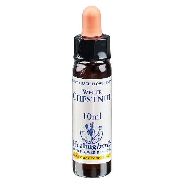 35 White Chestnut, 10ml Essenz, Healing Herbs