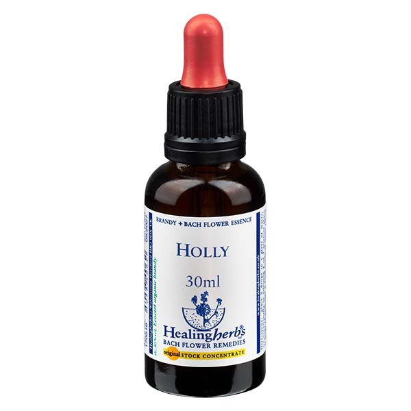 15 Holly, 30ml Essenz, Healing Herbs