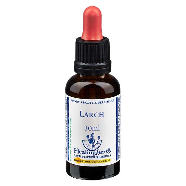 19 Larch, 30ml Essenz, Healing Herbs