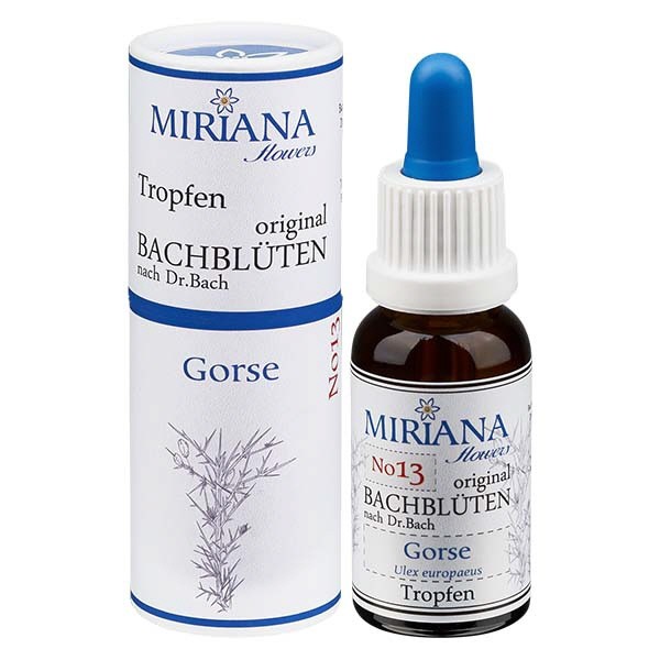 13 Gorse, 20ml Essenz, MirianaFlowers