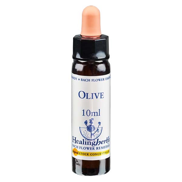 23 Olive, 10ml Essenz, Healing Herbs