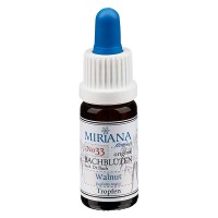 Vista previa: 33 Walnut, 10ml Essenz, MirianaFlowers Vista previa: 33 Walnut, 10ml Essenz, MirianaFlowers