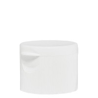 Tapón de bisagra de 25 mm de PP blanco, estándar Tapón de bisagra de 25 mm de PP blanco, estándar