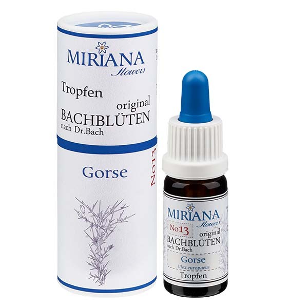 13 Gorse, 10ml Essenz, MirianaFlowers