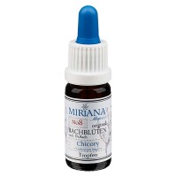 Vista previa: 8 Chicory, 10ml Essenz, MirianaFlowers Vista previa: 8 Chicory, 10ml Essenz, MirianaFlowers